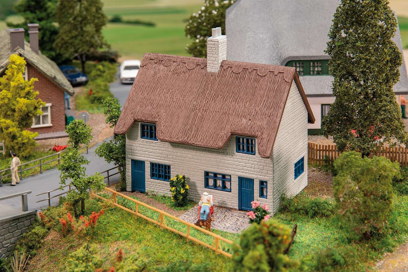 House with thatched roof