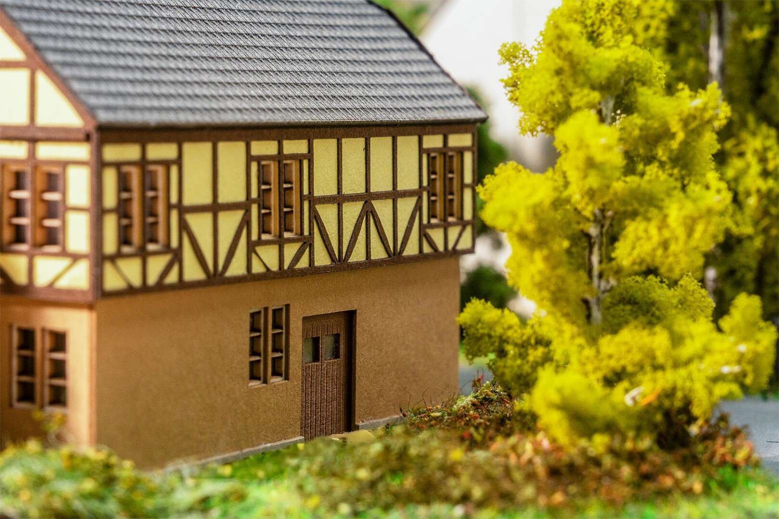 Old town hall thumbnail 2