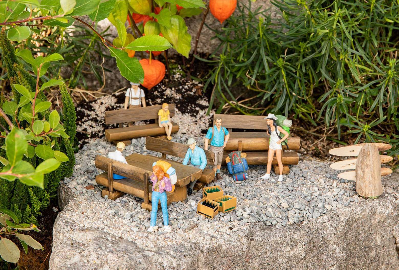 Rustic wooden benches and tables