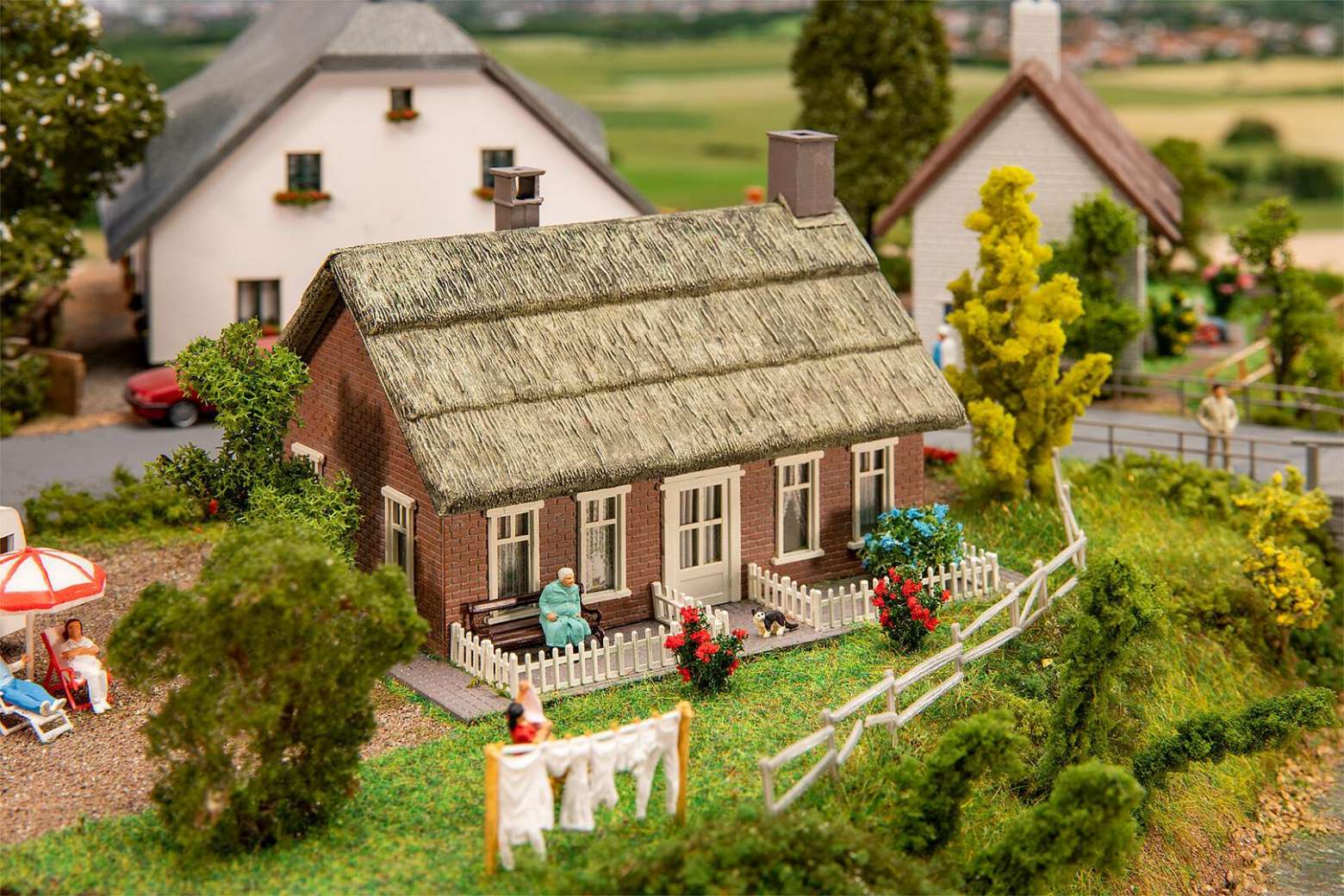 North German thatched house