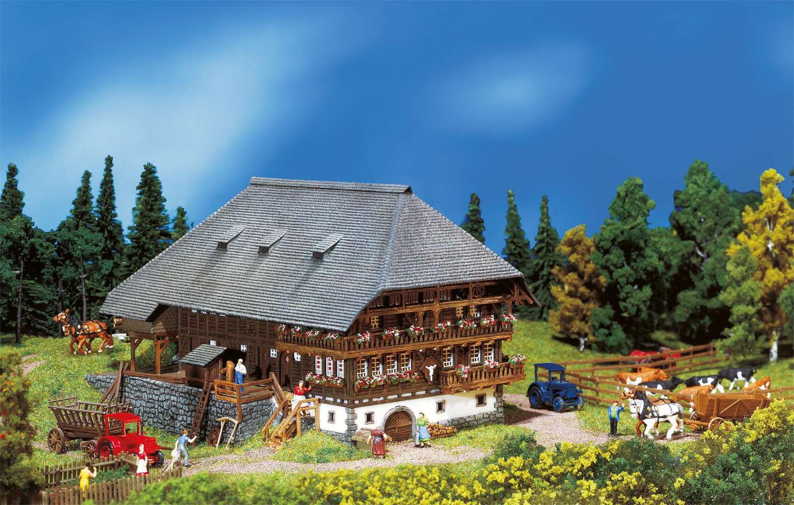 Black Forest farmyard