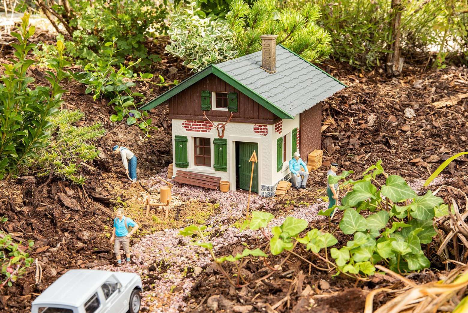 Forest hut
