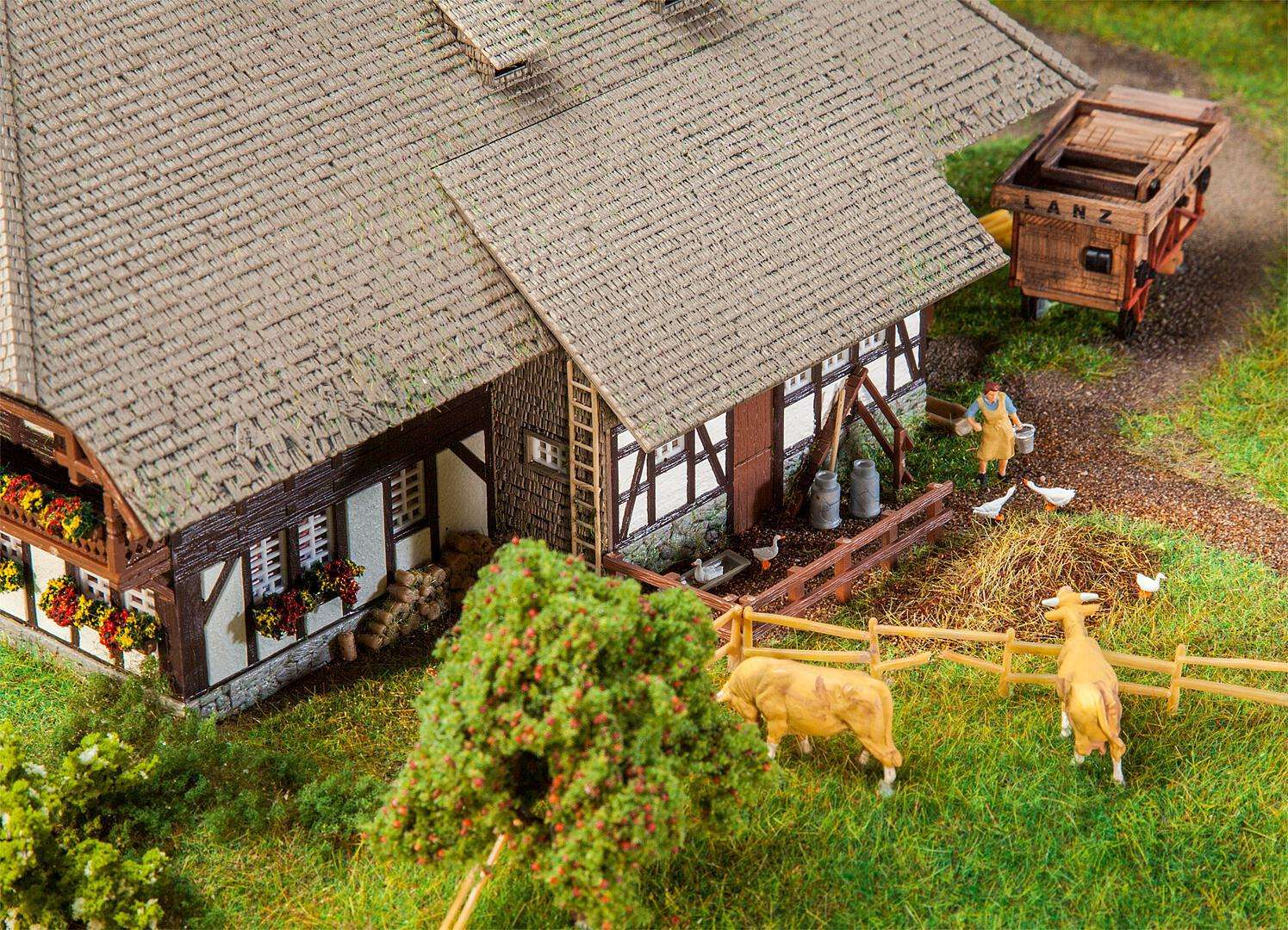 Black Forest Farm thumbnail 3
